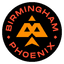 Birmingham Phoenix (Men) Flag